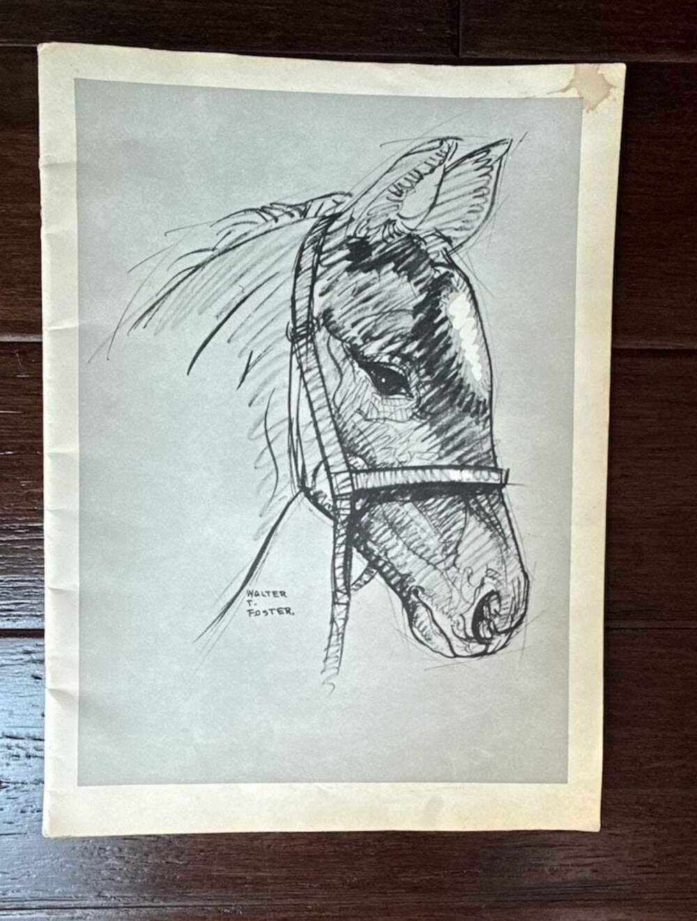 Walter Foster Vintage Horse Drawing Instructional Art Pages